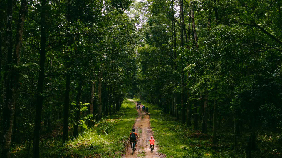 Cung đường trekking Nam Cát Tiên