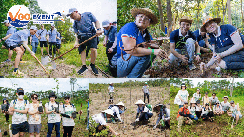 y-tuong-team-building-than-thien-moi-truong-tai-tphcm