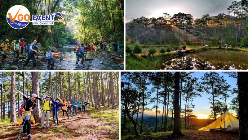 Khám phá rừng nguyên sinh Bidoup