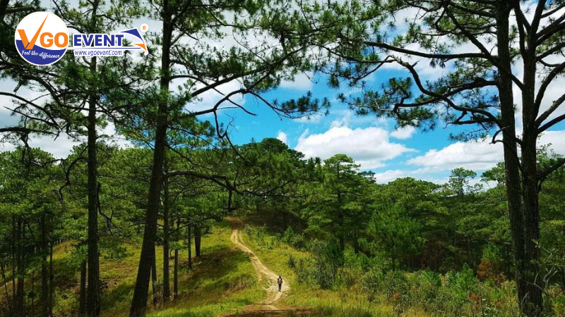 thử thách bất cứ ai dám chinh phục