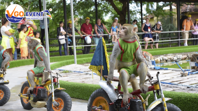 Giải phóng sức sáng tạo với các "diễn viên" đặc biệt