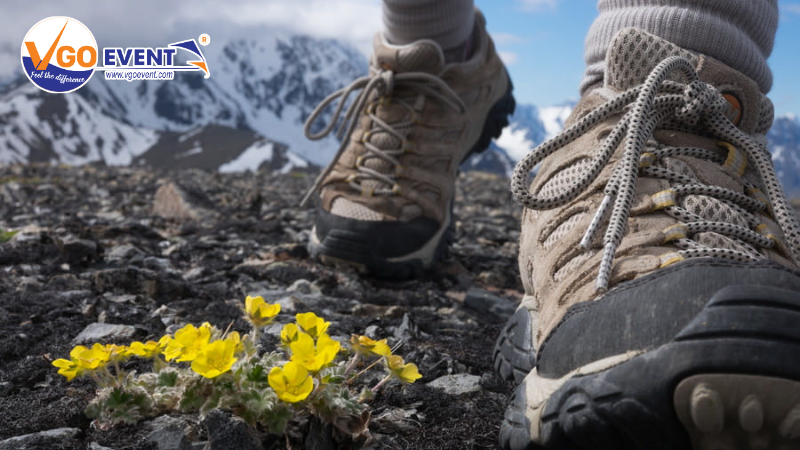 dấu hiệu nhận biết newbie