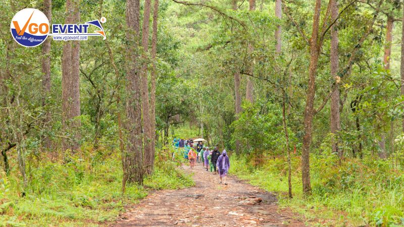 Những sai lầm thường gặp trong tổ chức sự kiện xanh