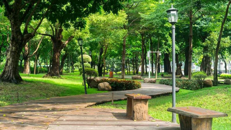 Không gian xanh tại công viên Gia Định phù hợp cho quy mô nhỏ
